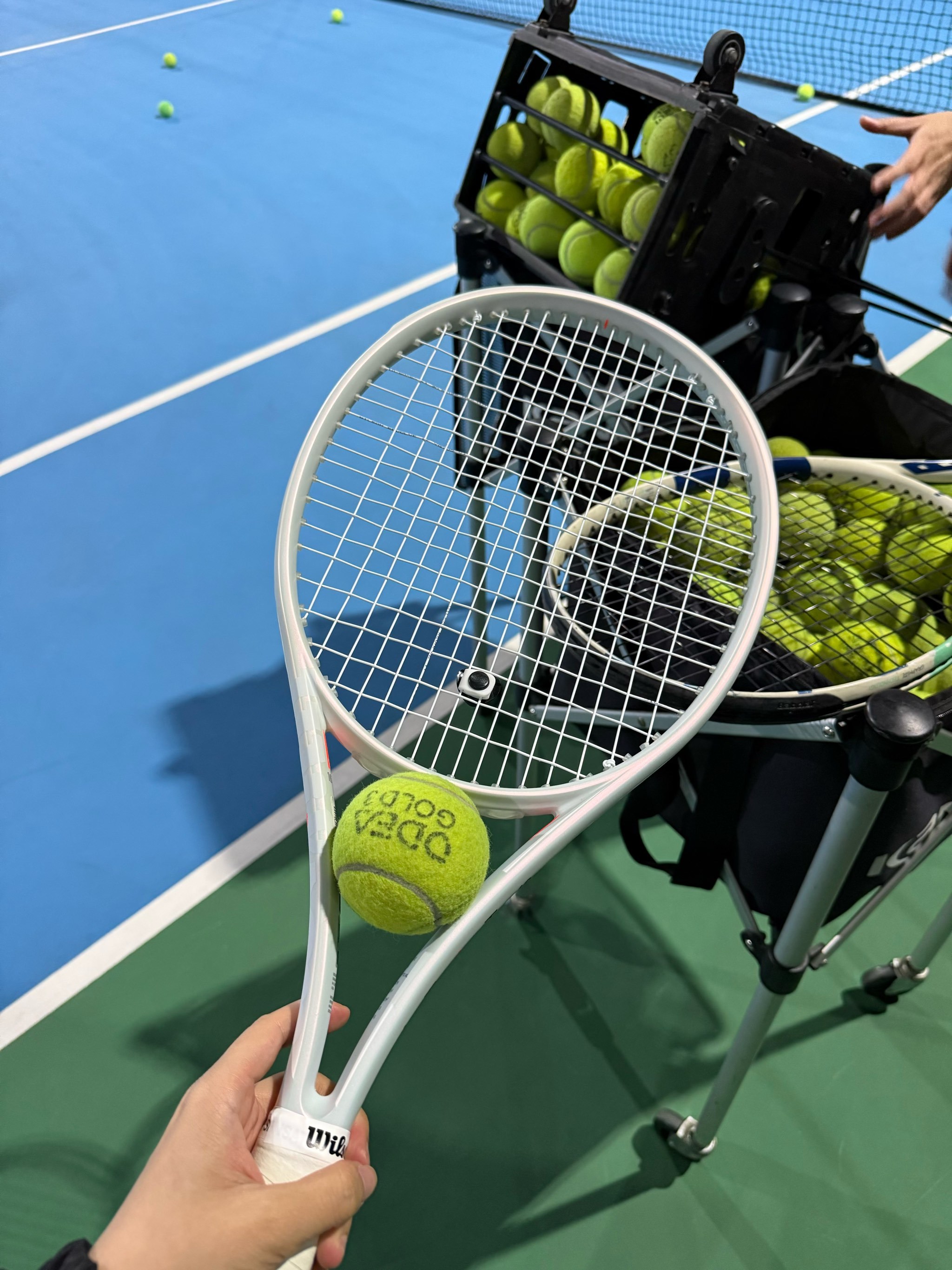 无数荣誉的 无数荣誉的