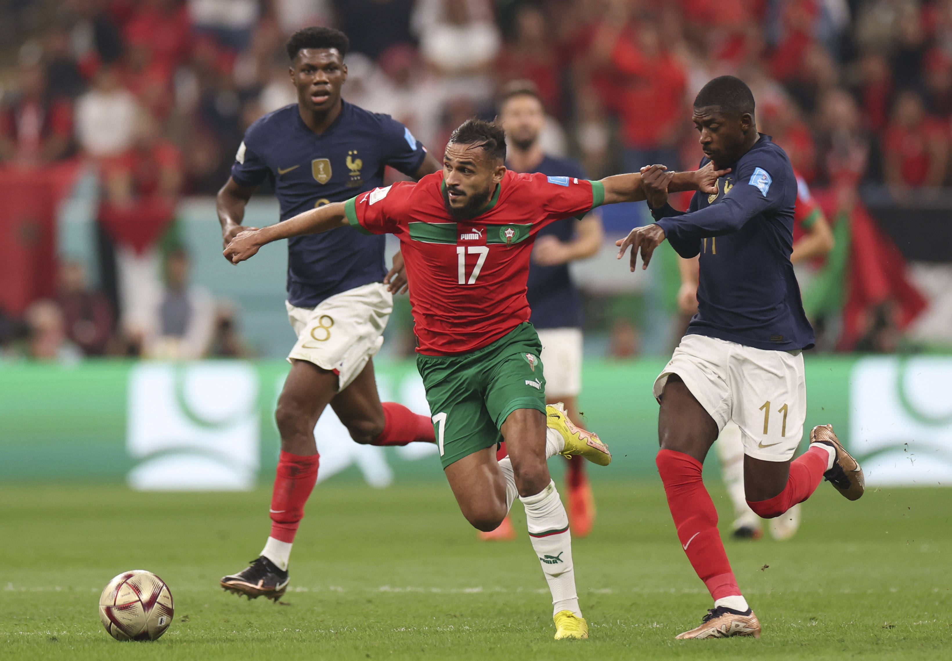 也向外界展 也向外界展