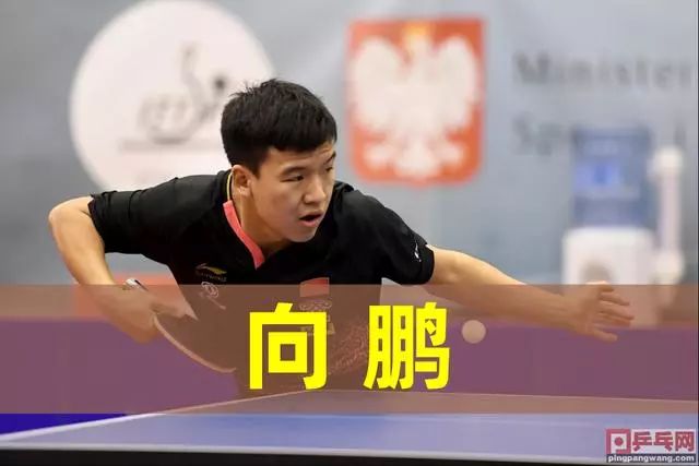 与所有顶级